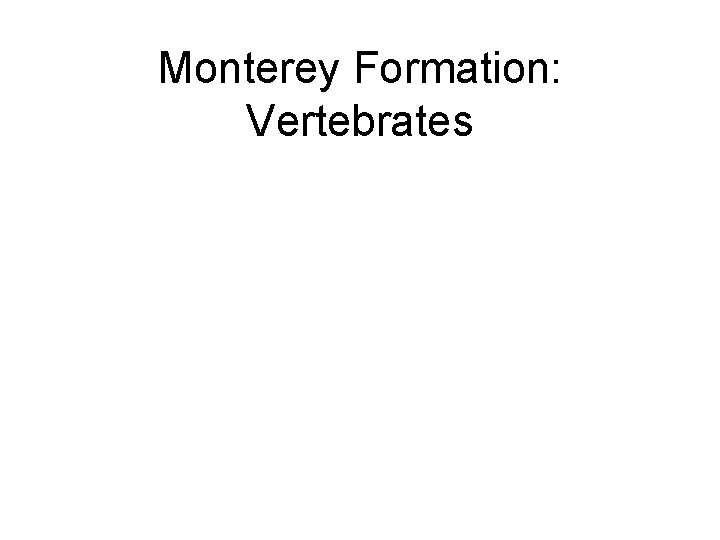 Monterey Formation: Vertebrates 