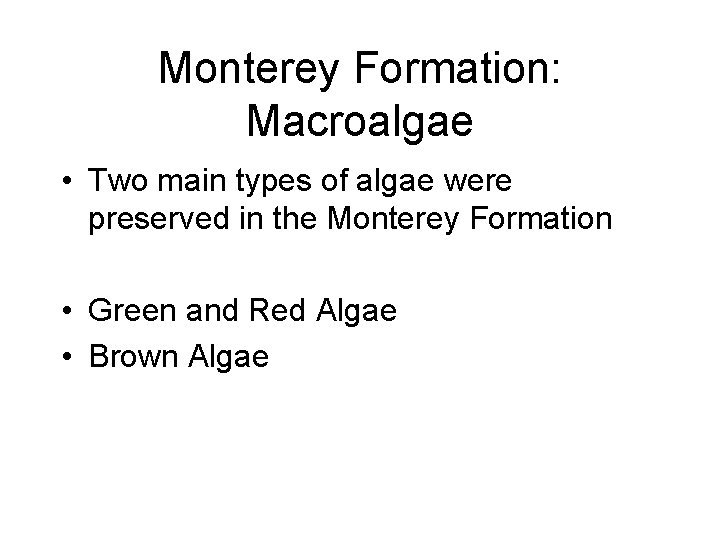 Monterey Formation: Macroalgae • Two main types of algae were preserved in the Monterey