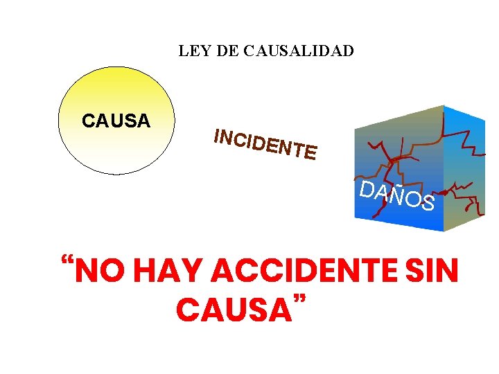 LEY DE CAUSALIDAD CAUSA INCIDE NTE DAÑO S “NO HAY ACCIDENTE SIN CAUSA” 