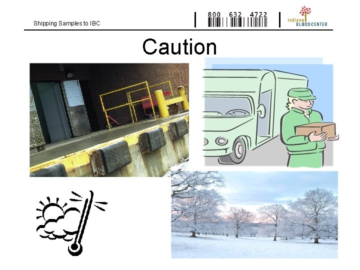 Shipping Samples to IBC Caution 