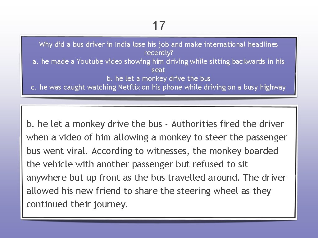 17 Why did a bus driver in India lose his job and make international