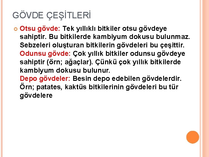 GÖVDE ÇEŞİTLERİ Otsu gövde: Tek yıllıklı bitkiler otsu gövdeye sahiptir. Bu bitkilerde kambiyum dokusu