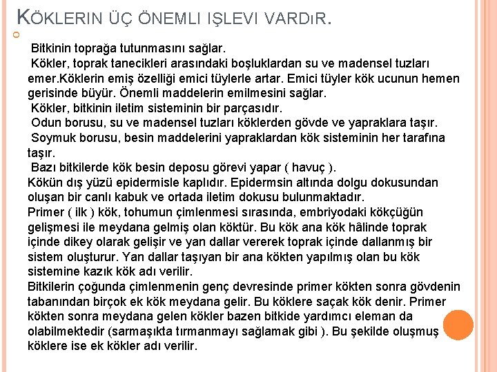 KÖKLERIN ÜÇ ÖNEMLI IŞLEVI VARDıR. Bitkinin toprağa tutunmasını sağlar. Kökler, toprak tanecikleri arasındaki boşluklardan