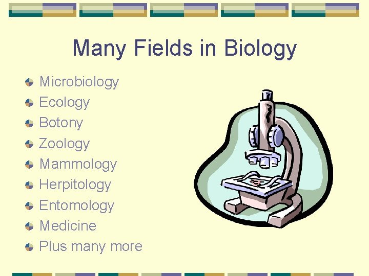 Many Fields in Biology Microbiology Ecology Botony Zoology Mammology Herpitology Entomology Medicine Plus many