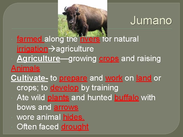 Jumano farmed along the rivers for natural irrigation agriculture Agriculture—growing crops and raising Animals