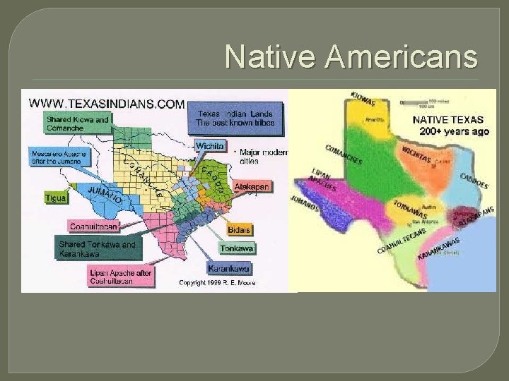 Native Americans 