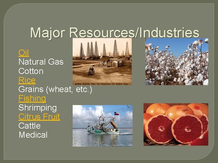 Major Resources/Industries Oil Natural Gas Cotton Rice Grains (wheat, etc. ) Fishing Shrimping Citrus