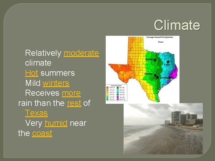 Climate Relatively moderate climate Hot summers Mild winters Receives more rain than the rest