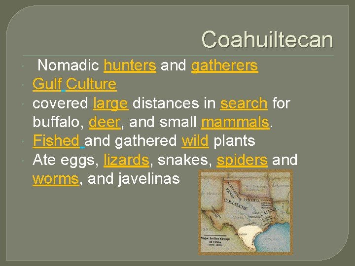 Coahuiltecan Nomadic hunters and gatherers Gulf Culture covered large distances in search for buffalo,