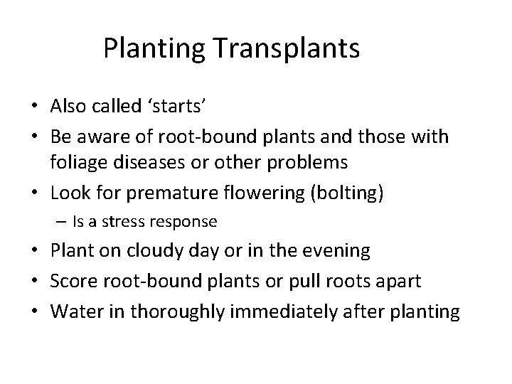 Planting Transplants • Also called ‘starts’ • Be aware of root-bound plants and those