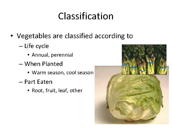 Classification • Vegetables are classified according to – Life cycle • Annual, perennial –