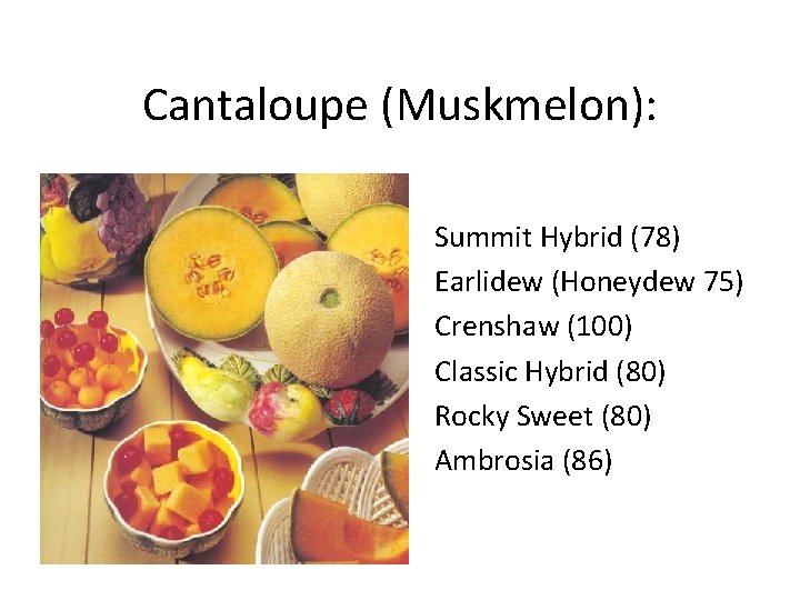 Cantaloupe (Muskmelon): Summit Hybrid (78) Earlidew (Honeydew 75) Crenshaw (100) Classic Hybrid (80) Rocky