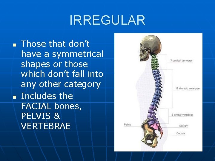 IRREGULAR n n Those that don’t have a symmetrical shapes or those which don’t