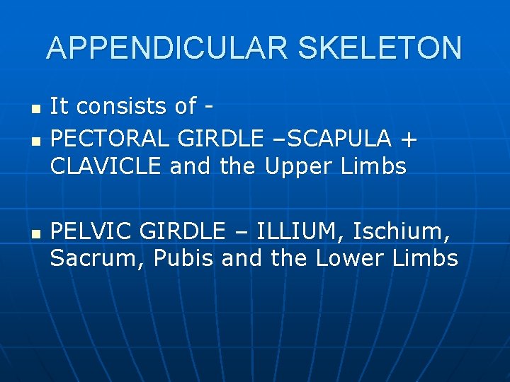 APPENDICULAR SKELETON n n n It consists of PECTORAL GIRDLE –SCAPULA + CLAVICLE and