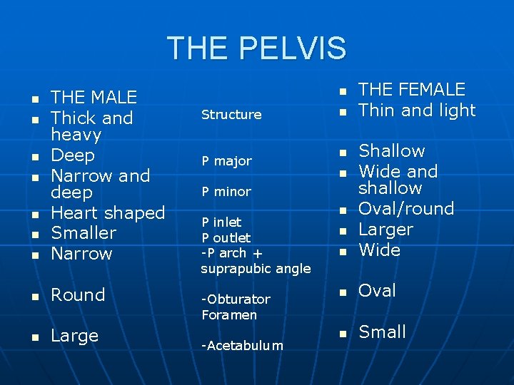 THE PELVIS n THE MALE Thick and heavy Deep Narrow and deep Heart shaped