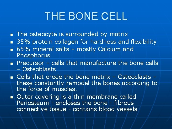 THE BONE CELL n n n The osteocyte is surrounded by matrix 35% protein