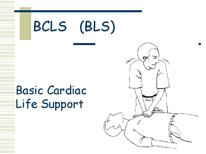 BCLS (BLS) Basic Cardiac Life Support 