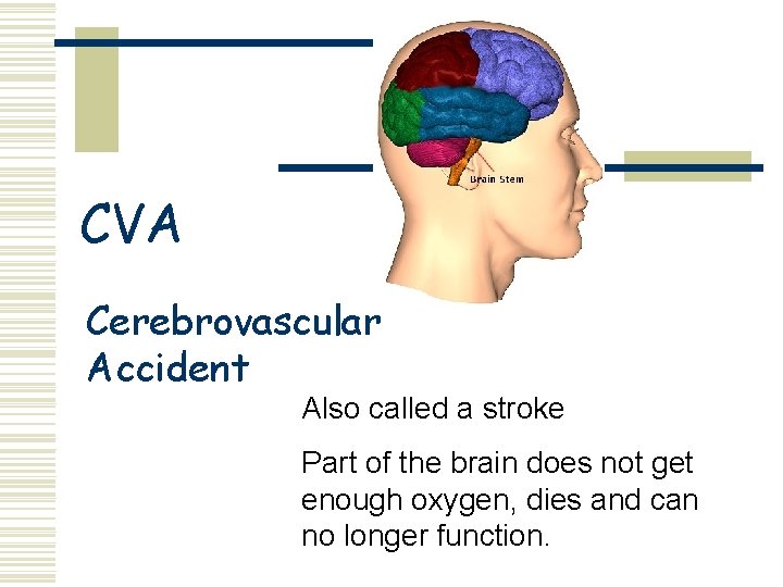 CVA Cerebrovascular Accident Also called a stroke Part of the brain does not get