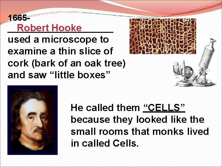 1665___________ Robert Hooke used a microscope to examine a thin slice of cork (bark