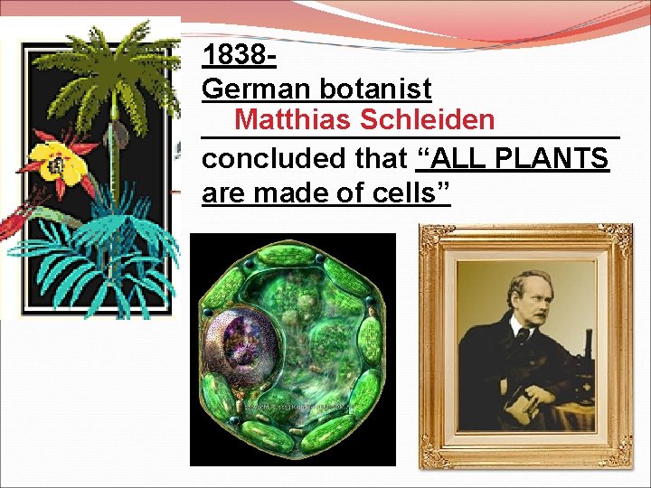 1838 German botanist Matthias Schleiden _____________ concluded that “ALL PLANTS are made of cells”