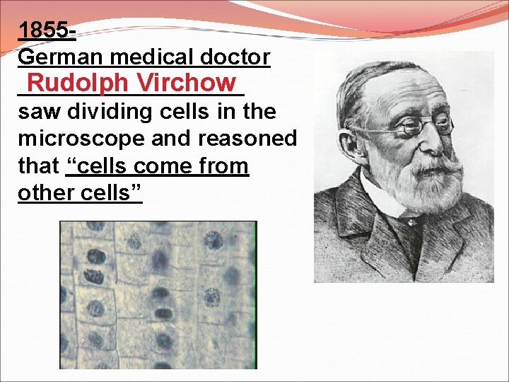 1855 German medical doctor Rudolph Virchow _________ saw dividing cells in the microscope and