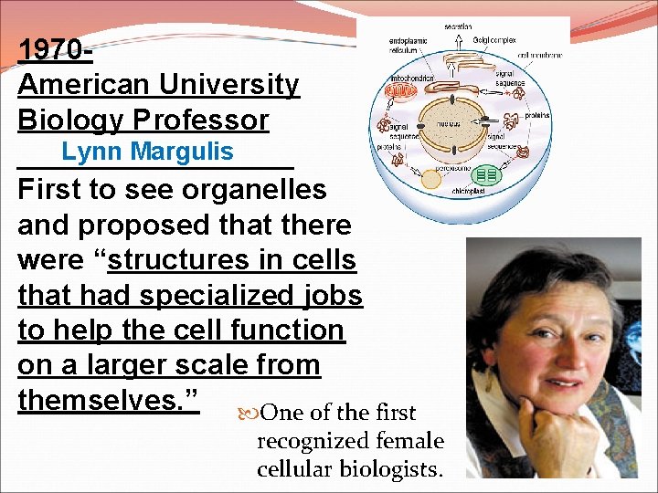 1970 American University Biology Professor Lynn Margulis _________ First to see organelles and proposed