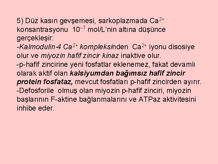 5) Düz kasın gevşemesi, sarkoplazmada Ca 2+ konsantrasyonu 10 7 mol/L’nin altına düşünce gerçekleşir: