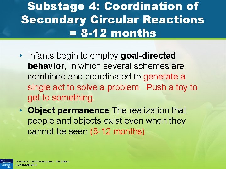 Substage 4: Coordination of Secondary Circular Reactions = 8 -12 months • Infants begin