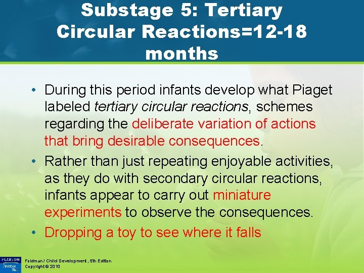 Substage 5: Tertiary Circular Reactions=12 -18 months • During this period infants develop what