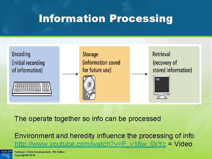 Information Processing The operate together so info can be processed Environment and heredity influence