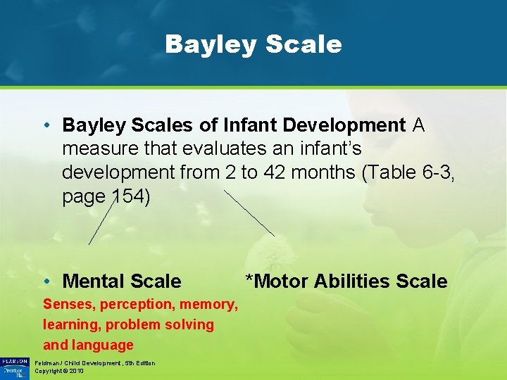 Bayley Scale • Bayley Scales of Infant Development A measure that evaluates an infant’s