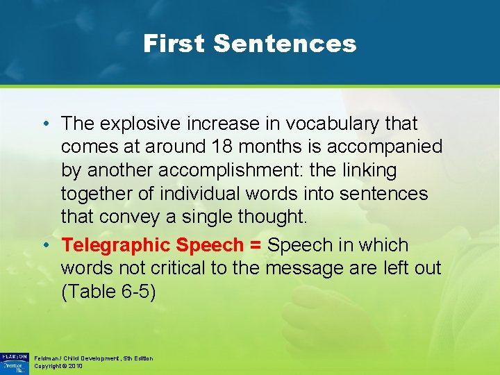 First Sentences • The explosive increase in vocabulary that comes at around 18 months