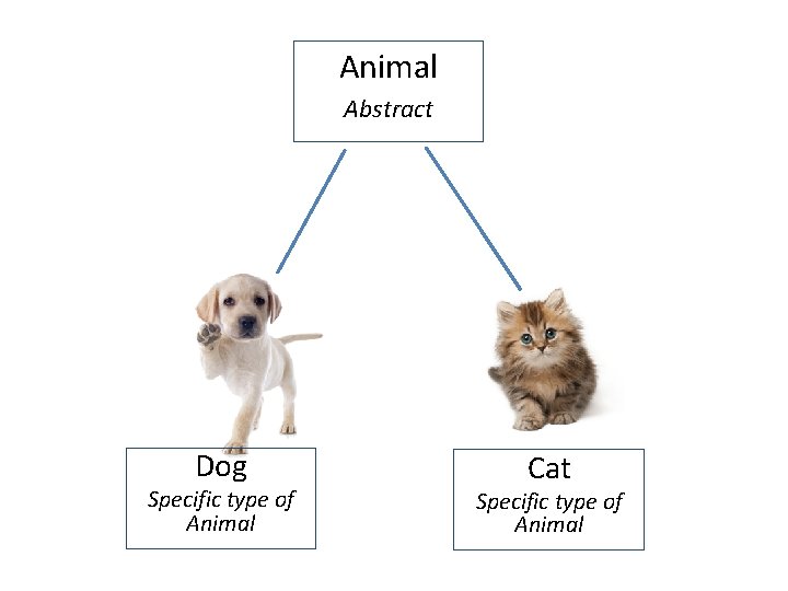 Animal Abstract Dog Specific type of Animal Cat Specific type of Animal 