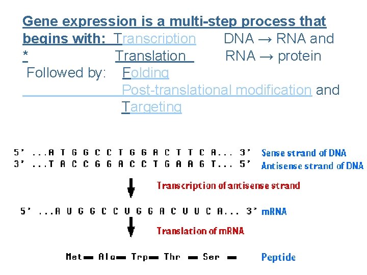 Gene expression is a multi-step process that begins with: Transcription DNA → RNA and