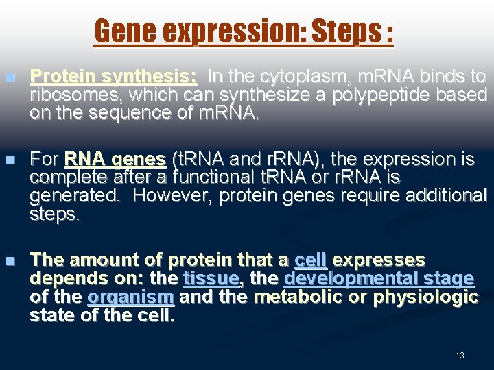 Gene expression: Steps : n Protein synthesis: In the cytoplasm, m. RNA binds to