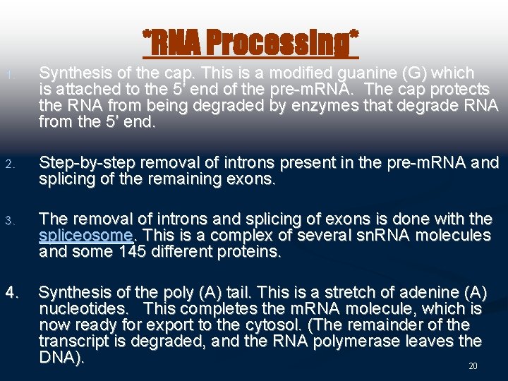*RNA Processing* 1. Synthesis of the cap. This is a modified guanine (G) which