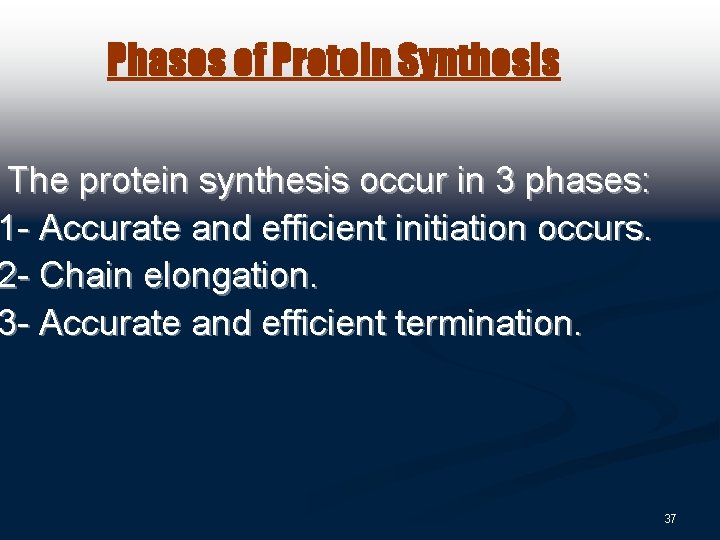 Phases of Protein Synthesis The protein synthesis occur in 3 phases: 1 - Accurate
