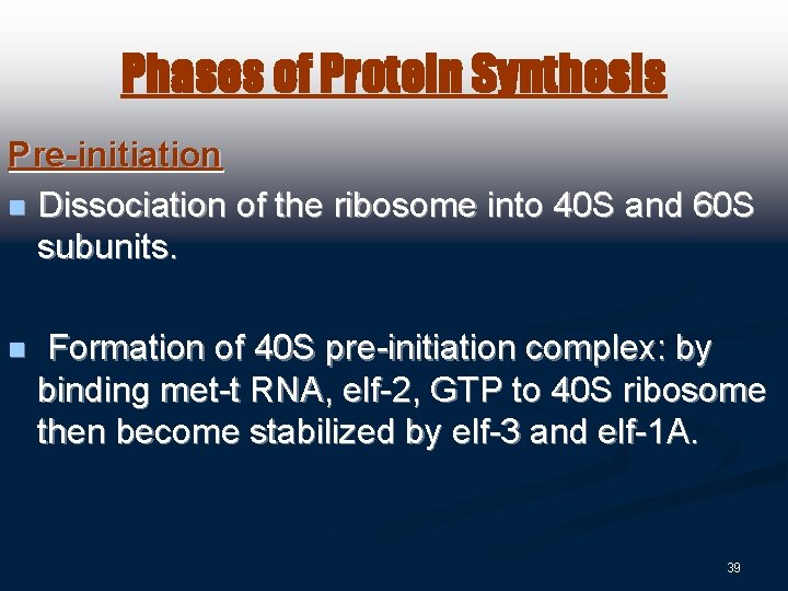 Phases of Protein Synthesis Pre-initiation n Dissociation of the ribosome into 40 S and