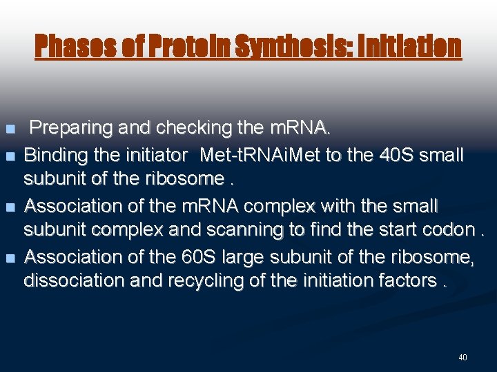 Phases of Protein Synthesis: Initiation n n Preparing and checking the m. RNA. Binding