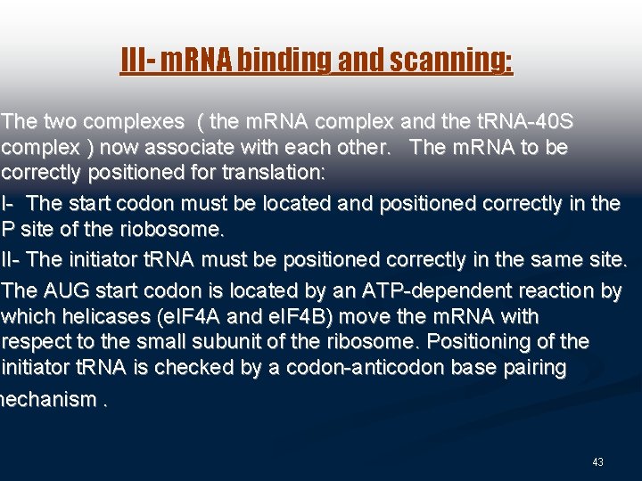 III- m. RNA binding and scanning: The two complexes ( the m. RNA complex