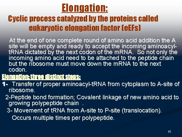 Elongation: Cyclic process catalyzed by the proteins called eukaryotic elongation factor (e. EFs) At