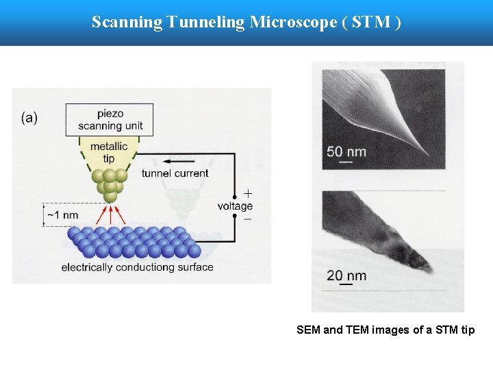 Scanning Tunneling Microscope ( STM ) SEM and TEM images of a STM tip