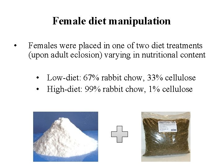 Female diet manipulation • Females were placed in one of two diet treatments (upon