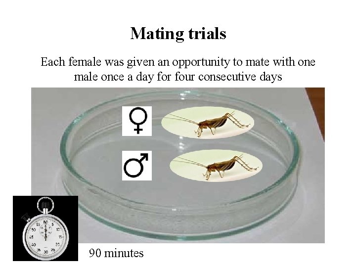 Mating trials Each female was given an opportunity to mate with one male once