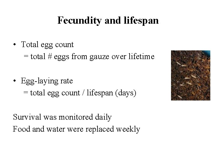 Fecundity and lifespan • Total egg count = total # eggs from gauze over
