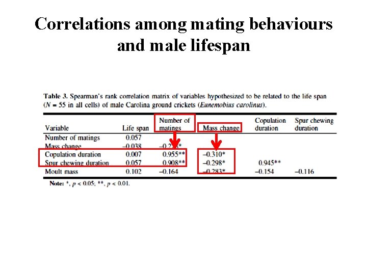 Correlations among mating behaviours and male lifespan 