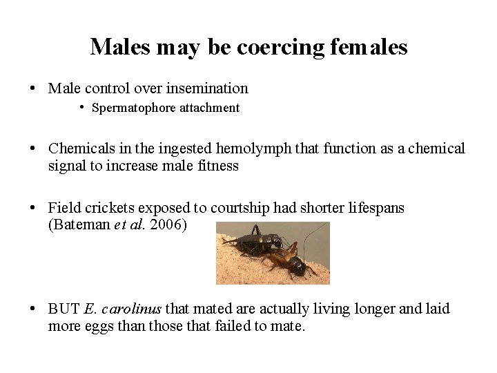 Males may be coercing females • Male control over insemination • Spermatophore attachment •