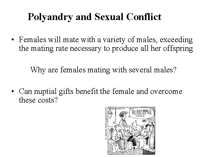 Polyandry and Sexual Conflict • Females will mate with a variety of males, exceeding