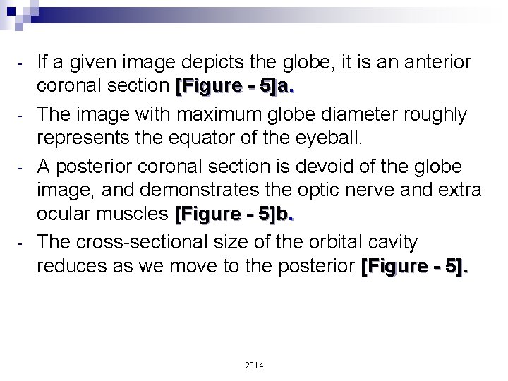 - - If a given image depicts the globe, it is an anterior coronal