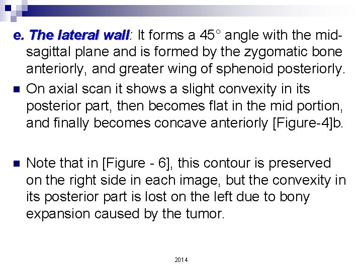 e. The lateral wall: wall It forms a 45° angle with the midsagittal plane